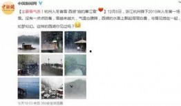宁波上井爆料事件真相视频,真相视频揭露惊人内幕
